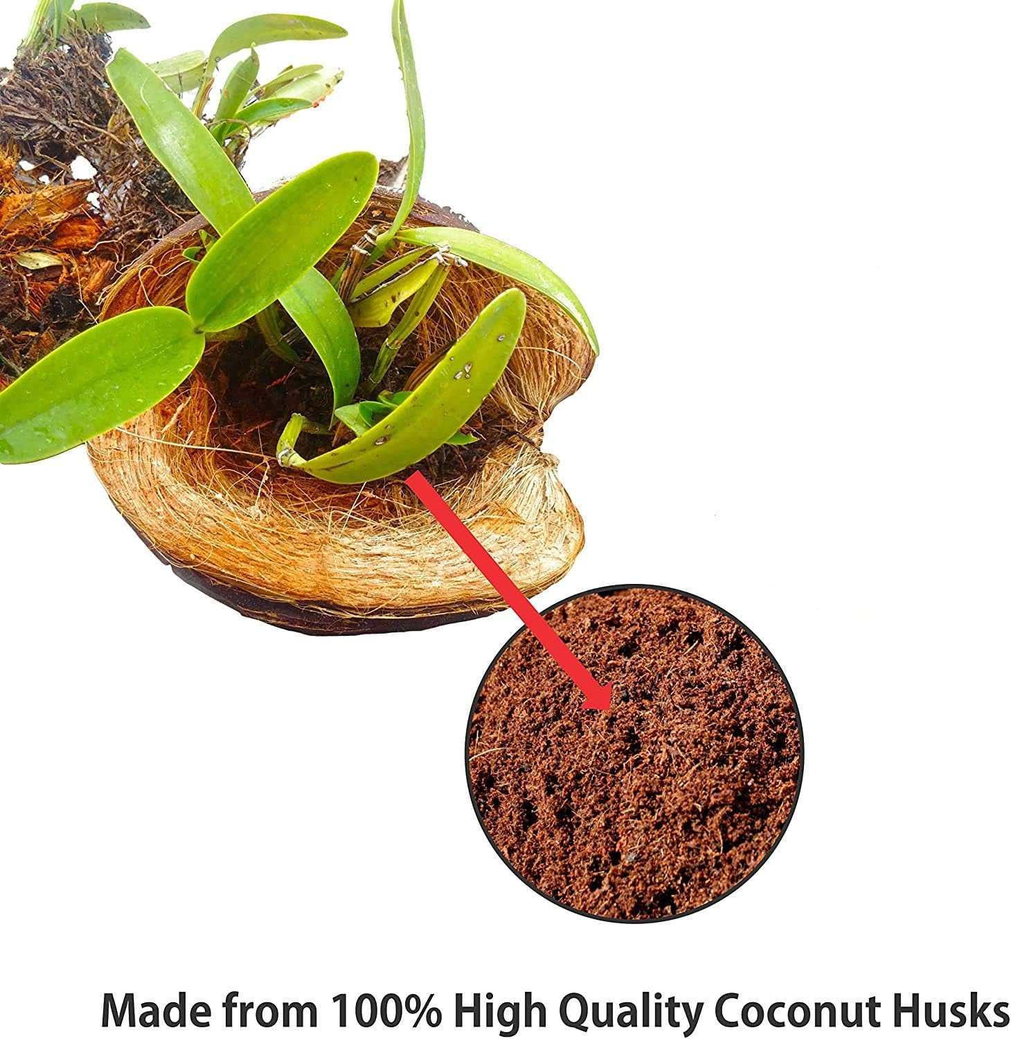 Coco Coir Bricks for Plants - Compressed Coconut Fiber Substrate Plant Soil for Vegetables Flowers Berries Planting, Reptile Bedding(6 Pack)