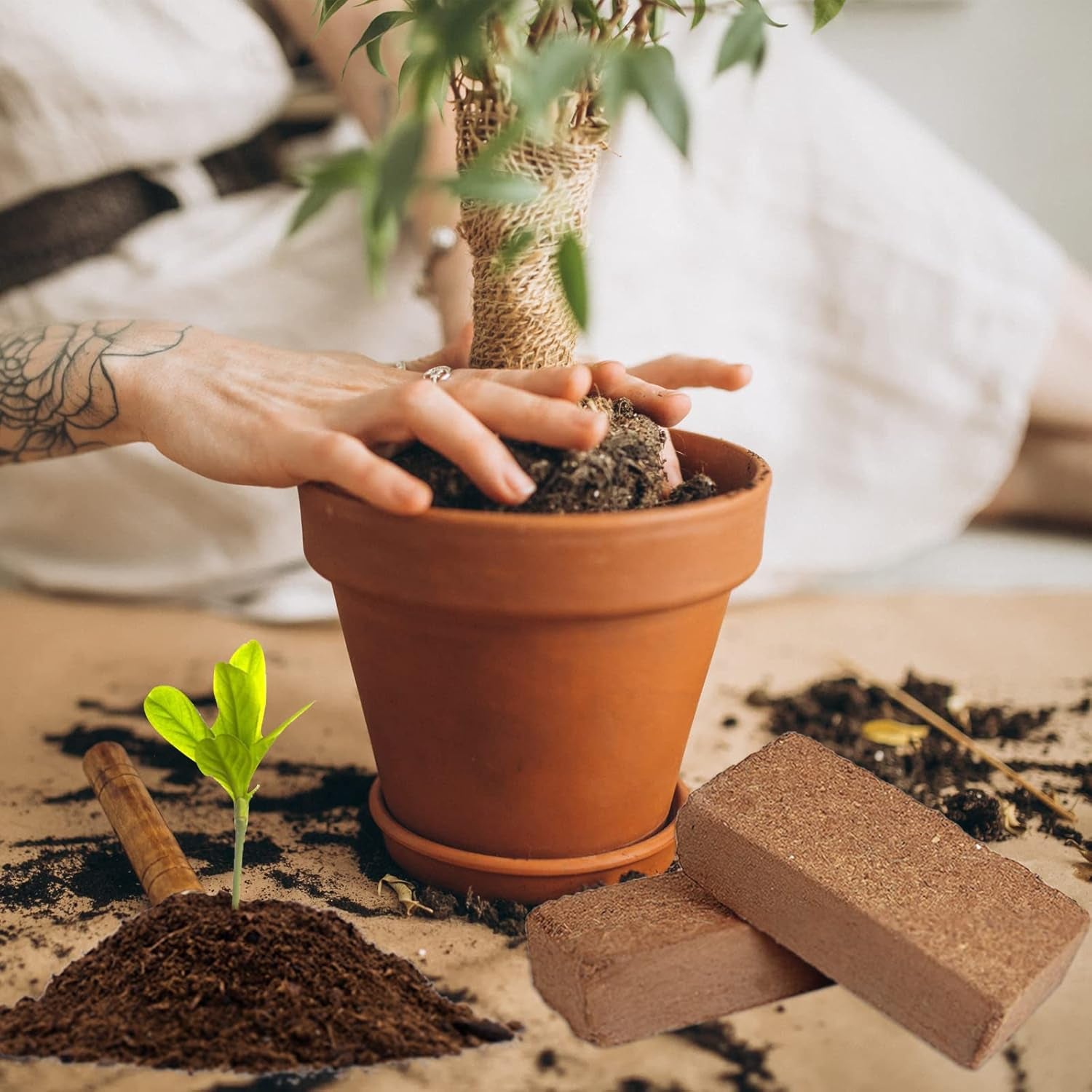 8 Pcs Coco Coir Brick for Plants, Compressed Coconut Coir 100% Organic Coconut Coir Bricks with Low EC and Ph Balance, Premium Coconut Husk Soil Bricks for Gardening Vegetables Plants